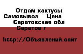 Отдам кактусы. Самовывоз. › Цена ­ 100 - Саратовская обл., Саратов г.  »    